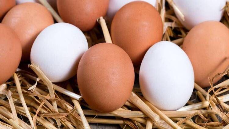 Yumurta kolesterolu nasil etkiler 1